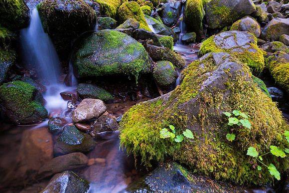Stream Detail