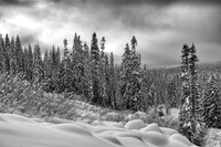 A Winter's Day on the Gold CreekTrail