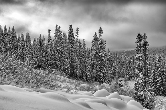A Winter's Day on the Gold CreekTrail