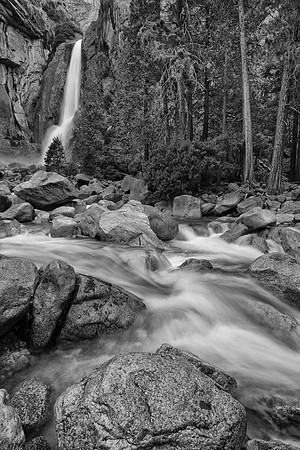 Lower Yosemite Falls