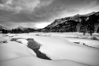 Hayden Valley