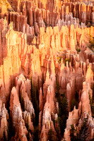 Bryce Canyon Detail 1