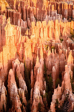 Bryce Canyon Detail 1