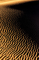 Shadow Play
