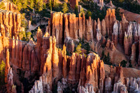 Bryce Canyon Detail 2