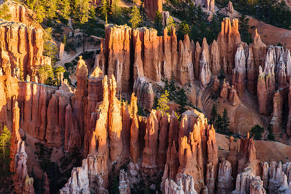Bryce Canyon Detail 2