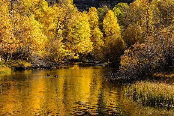 Morning on the June Lake Loop