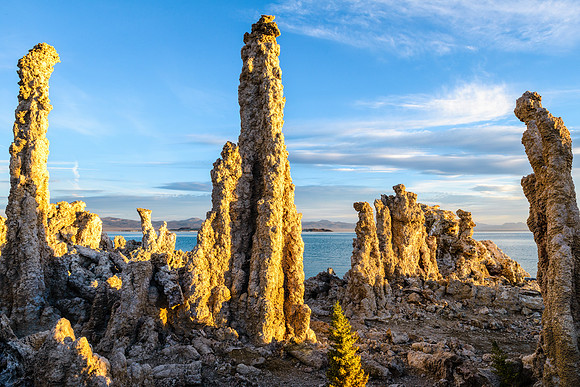 Sunrise on South Tufas, Mono Lake
