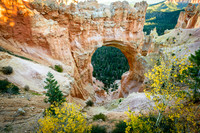 Natural Bridge - Bryce Canyon NP