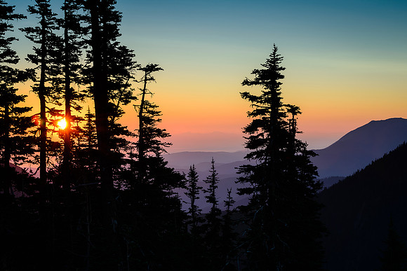 Purple Mountains Majesty