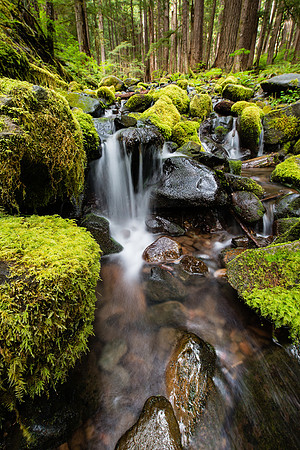 Sol Duc Stream